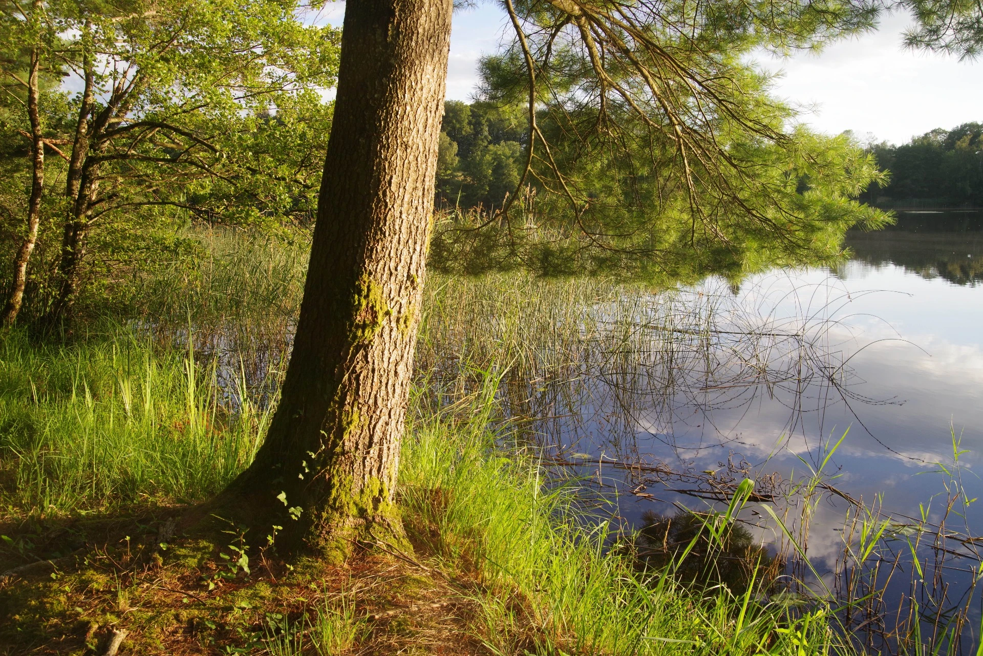 Die Domaine du Mont Gérard — Blick auf den See