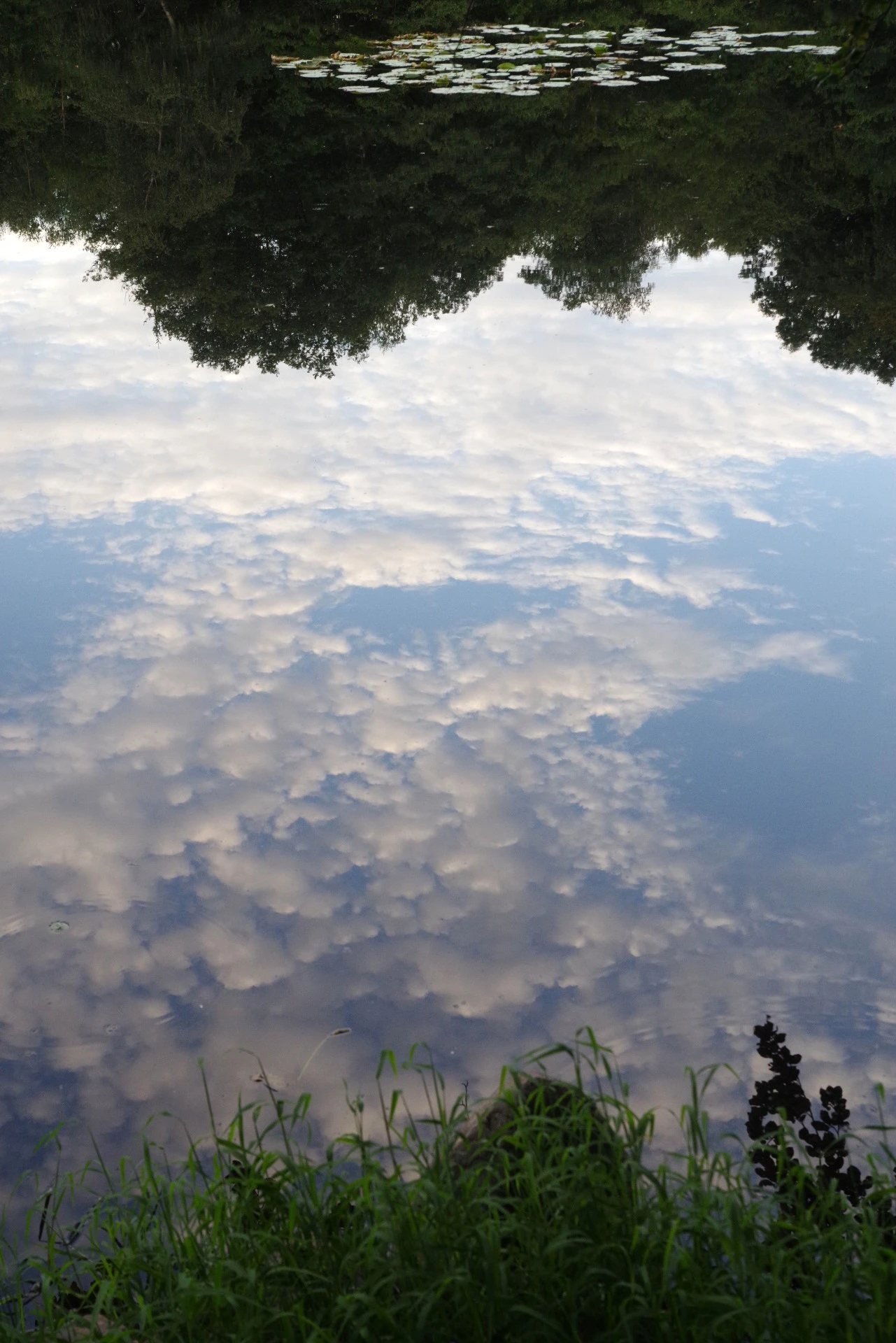 Reflets