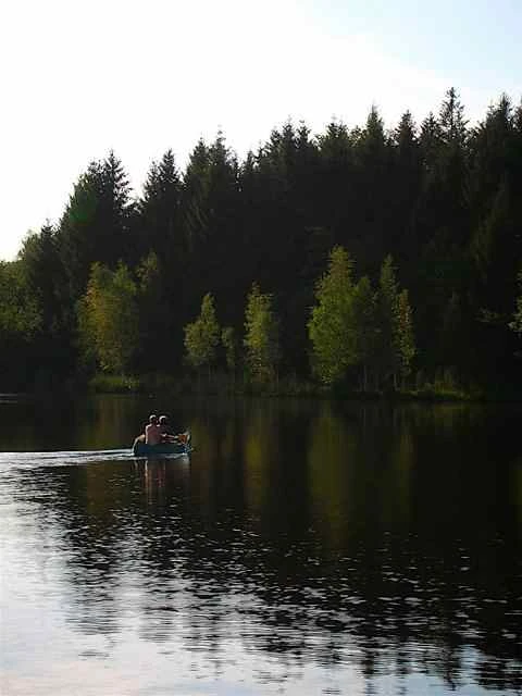 Canoë sur l'étang