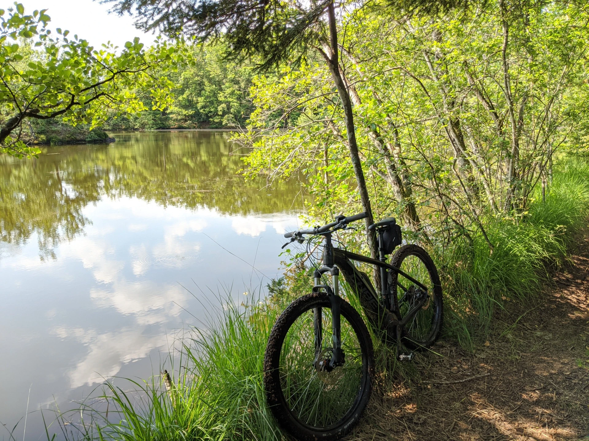 VTT dans les Vosges Saônoises